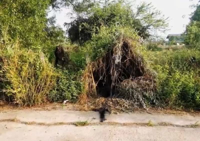 ที่ดินคลองสามวา กรุงเทพมหานคร, กรุงเทพ, สามวาตะวันออก, คลองสามวา, กรุงเทพ, 400 ตร.ม., ที่ดิน ขาย, โดย The Best Property  ภพ, 500281620 - DDproperty.com