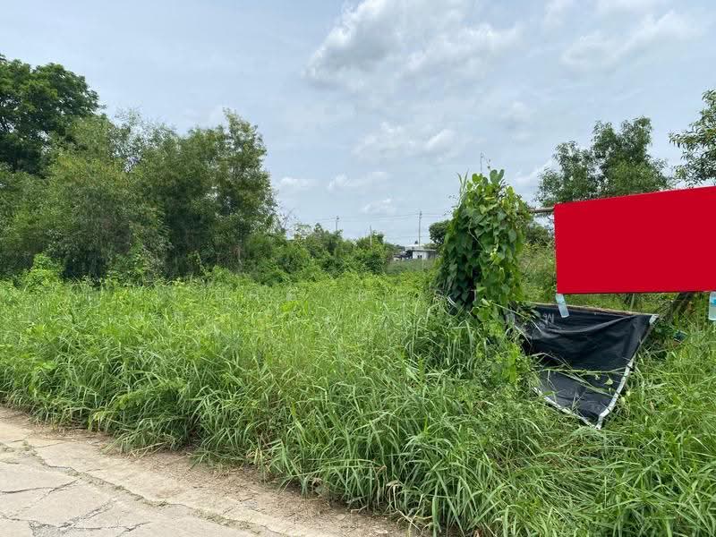 ที่ดินคลองสามวา กรุงเทพมหานคร, กรุงเทพ, สามวาตะวันออก, คลองสามวา, กรุงเทพ, 400 ตร.ม., ที่ดิน ขาย, โดย The Best Property ภพ, 500281620 - DDproperty.com