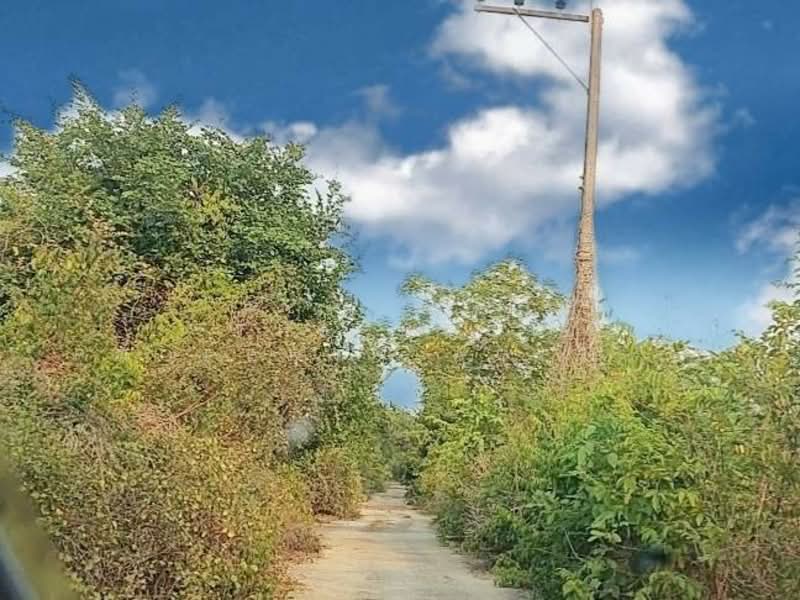 ที่ดินโนนสูง อุดรธานี, Udon Thani, Non Sung, Muang Udon Thani, Udon Thani, , 400 sqm, Land For Sale, by The Best Property Agent เป้า, 500281639 - DDproperty.com