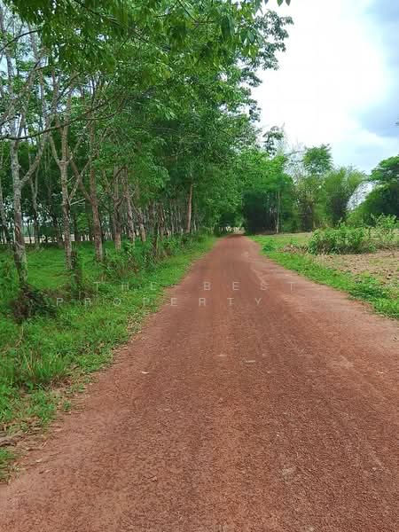 For Sale - ที่ดินโพนพิสัย หนองคาย, Nong Khai