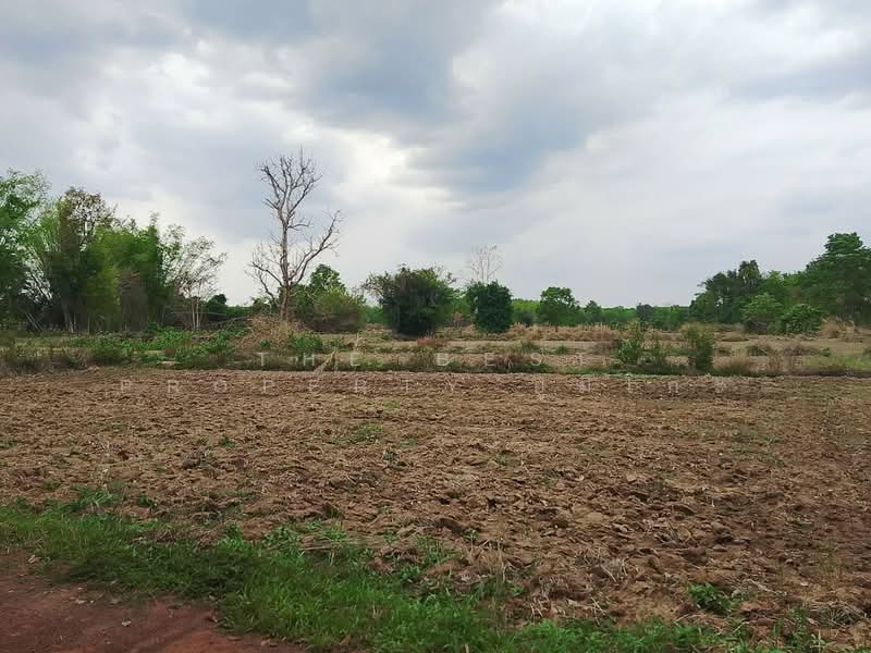 ขาย - ที่ดินโพนพิสัย หนองคาย, หนองคาย