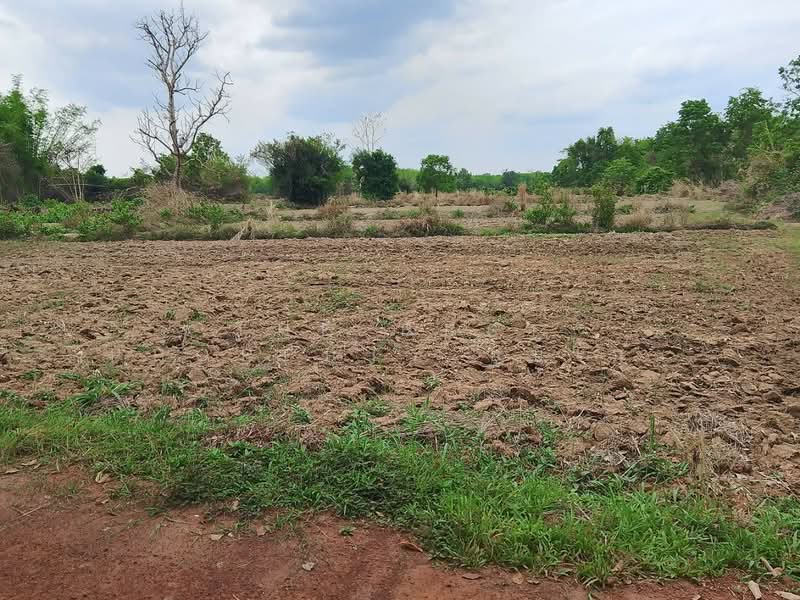 ขาย - ที่ดินโพนพิสัย หนองคาย, หนองคาย