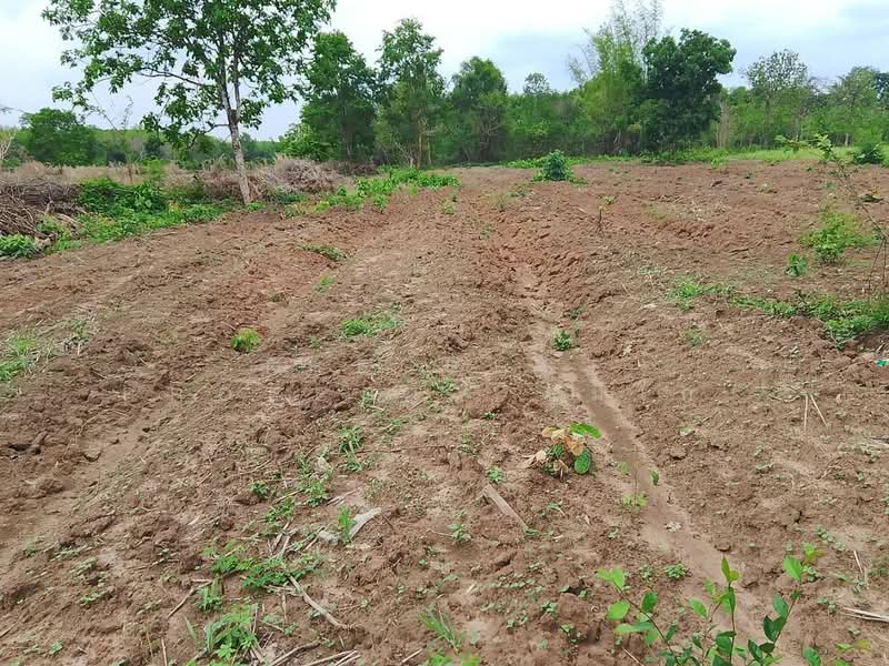 For Sale - ที่ดินโพนพิสัย หนองคาย, Nong Khai