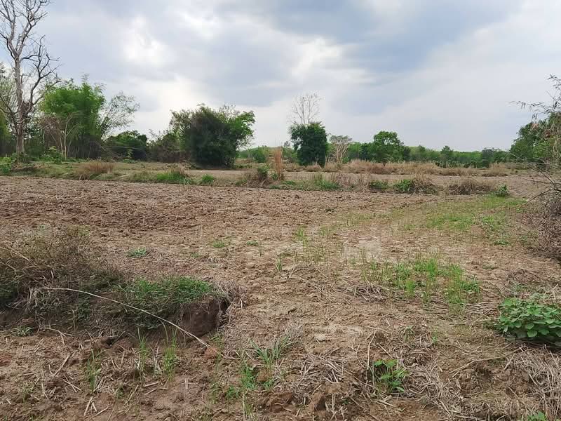 For Sale - ที่ดินโพนพิสัย หนองคาย, Nong Khai