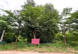ที่ดินตาคลี นครสวรรค์ - DDproperty.com