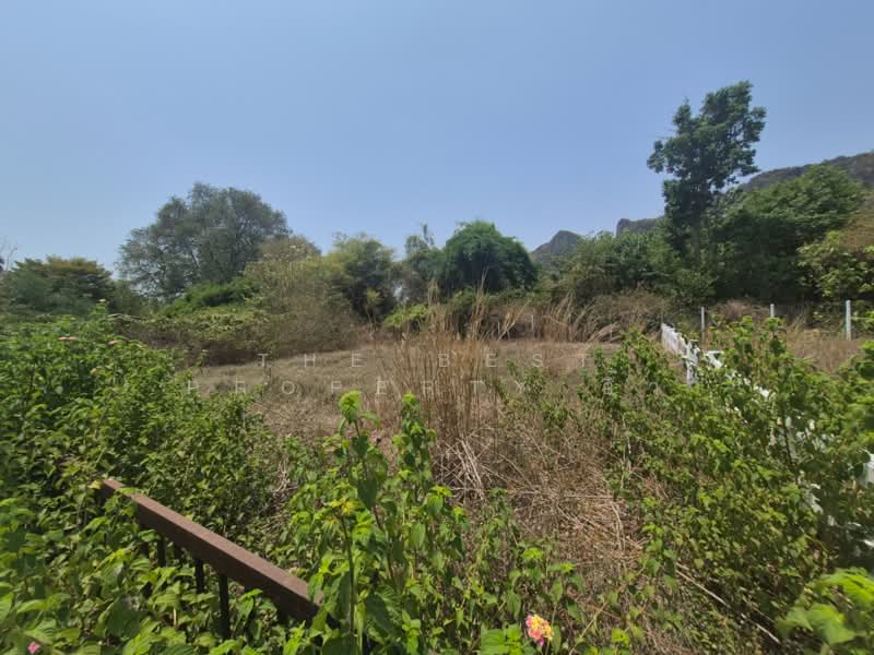ที่ดินปากท่อ ราชบุรี, Ratchaburi, Nong Krathum, Pak Tho, Ratchaburi, , 400 sqm, Land For Sale, by The Best Property อิ๋ว, 500281662 - DDproperty.com