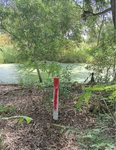 ขายที่ดิน คลองหก คลองหลวง ปทุมธานี, Pathum Thani, Khlong Hok, Khlong Luang, Pathum Thani, , 800 sqm, Land For Sale, by Napasakorn Chotichurangkul, 500281700 - DDproperty.com