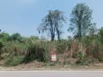 ที่ดินพนมสารคาม ฉะเชิงเทรา, ฉะเชิงเทรา