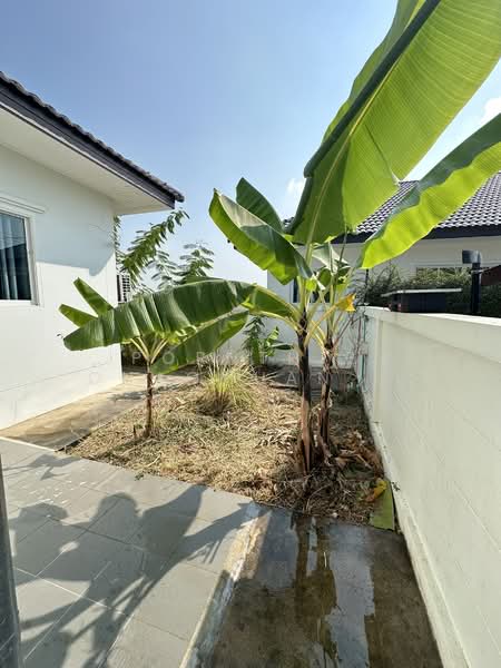 รั้วใหญ่, Suphan Buri, Rua Yai, Muang Suphanburi, Suphan Buri, 3 Bedrooms, 246 sqm, Single Detached House For Sale, by Pornthip Chaomuangkrung, 500281749 - DDproperty.com