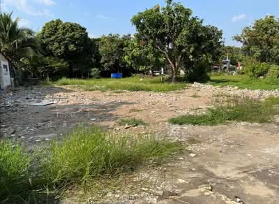 ขาย - ที่ดิน 282 ตร.ว. ซอยสุขสัญจร 13 ต.ฟ้าฮ่าม, เชียงใหม่