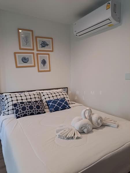 The Base Central, Phuket, Chao Fah Tawan Tok Rd, Wichit, Muang Phuket, Phuket, 1 Bedroom, 28 sqm, Condo For Rent, by Built Prime global, 500281925 - DDproperty.com