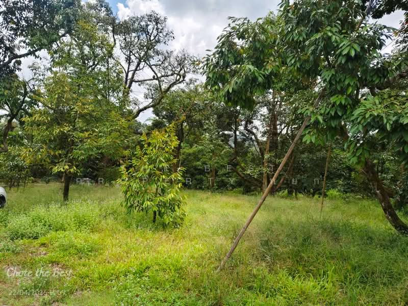 ขาย - ที่ดินเขาคิชฌกูฏ จันทบุรี, จันทบุรี