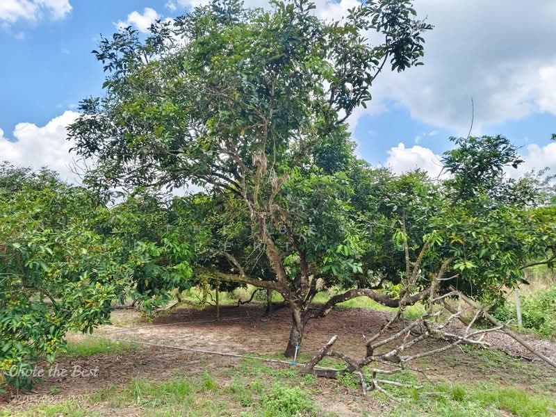 For Sale - ที่ดินเขาคิชฌกูฏ จันทบุรี, Chanthaburi