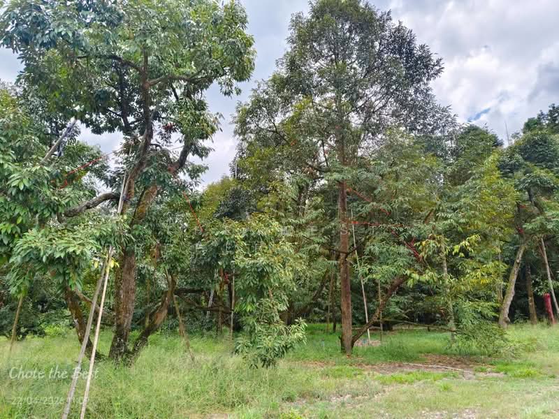 ขาย - ที่ดินเขาคิชฌกูฏ จันทบุรี, จันทบุรี
