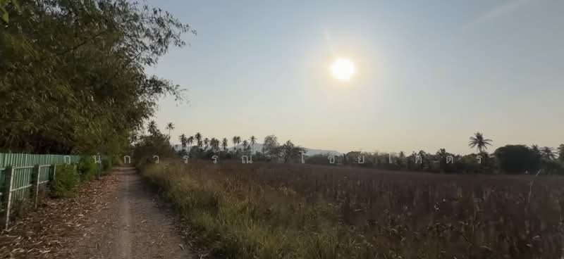 Muak Lek, Hua Krok, Saraburi-Nakhon Ratchasima., Nakhon Ratchasima, Phyayen, Pak Chong, Nakhon Ratchasima, , 37,368 sqm, Land For Sale, by กนกวรรณ ไชยโคตร, 500281964 - DDproperty.com