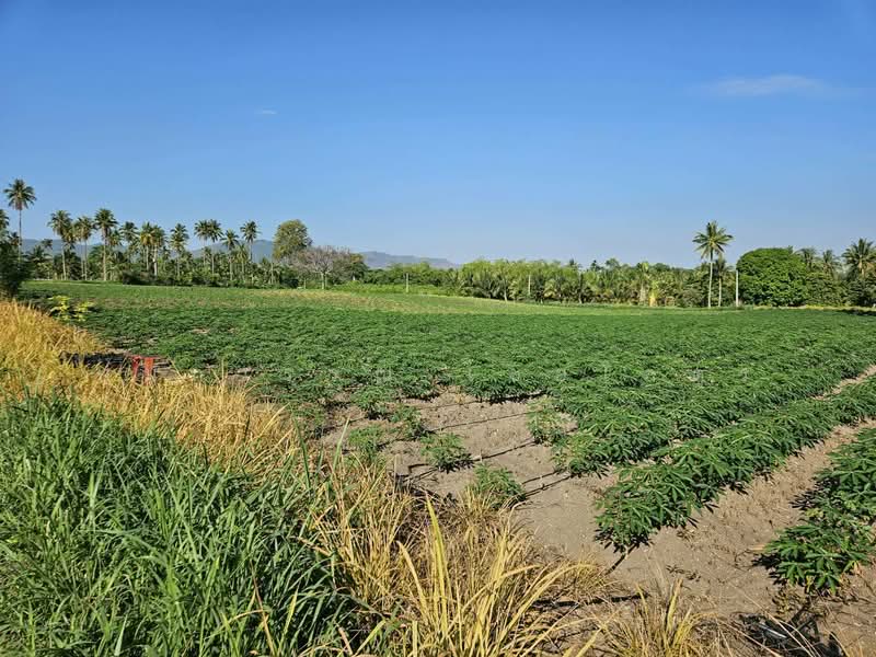 Muak Lek, Hua Krok, Saraburi-Nakhon Ratchasima., Nakhon Ratchasima, Phyayen, Pak Chong, Nakhon Ratchasima, , 37,368 sqm, Land For Sale, by กนกวรรณ ไชยโคตร, 500281964 - DDproperty.com