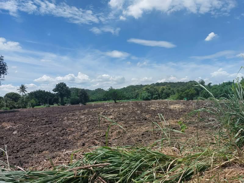 Muak Lek, Hua Krok, Saraburi-Nakhon Ratchasima., Nakhon Ratchasima, Phyayen, Pak Chong, Nakhon Ratchasima, , 37,368 sqm, Land For Sale, by กนกวรรณ ไชยโคตร, 500281964 - DDproperty.com