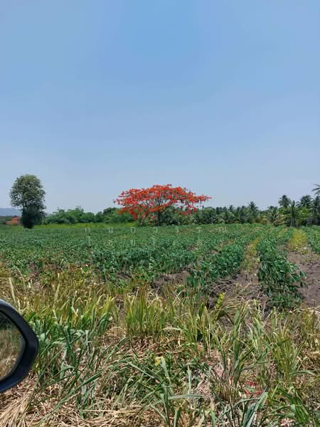 Muak Lek, Hua Krok, Saraburi-Nakhon Ratchasima., Nakhon Ratchasima, Phyayen, Pak Chong, Nakhon Ratchasima, , 37,368 sqm, Land For Sale, by กนกวรรณ ไชยโคตร, 500281964 - DDproperty.com