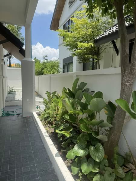 ให้เช่าบ้านเดี่ยวรีโนเวทใหม่ ม.เทอเรสฮิลล์ ไร่กล้วย ศรีราชา, Chon Buri (Pattaya), Surasak, Si Racha, Chon Buri (Pattaya), 3 Bedrooms, 180 sqm, Single Detached House For Rent, by Dusit Saengfa, 500281978 - DDproperty.com