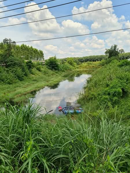 ขายที่ดินพนมสารคาม, Chachoengsao, Ban-Song, Phanom Sarakham, Chachoengsao, , 264,000 sqm, Land For Sale, by vanee chiracharasporn, 500282018 - DDproperty.com