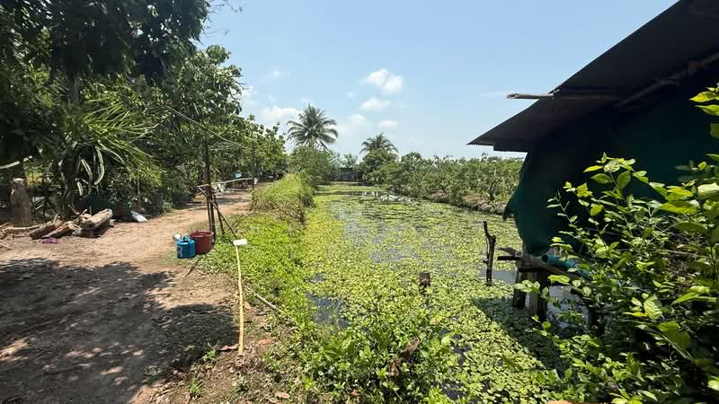บ้านเดี่ยวสันทราย เชียงใหม่, เชียงใหม่, แม่แฝกใหม่, สันทราย, เชียงใหม่, 300 ตร.ม., บ้านเดี่ยว ขาย, โดย The Best Property บอย, 500282041 - DDproperty.com