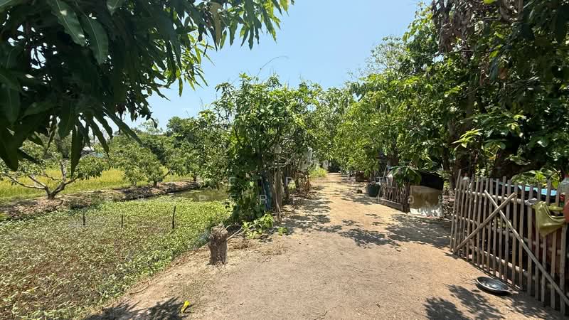 For Sale - บ้านเดี่ยวสันทราย เชียงใหม่, Chiang Mai