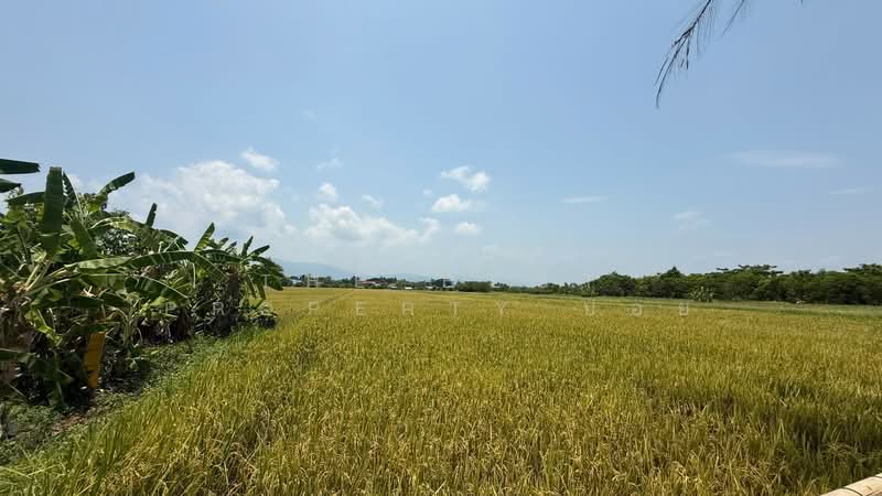 For Sale - บ้านเดี่ยวสันทราย เชียงใหม่, Chiang Mai