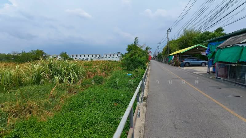 ที่ดิน 3 ไร่ หลังบิ๊กซีสุขสวัสดิ์, สมุทรปราการ, บางพึ่ง, พระประแดง, สมุทรปราการ, 4,800 ตร.ม., ที่ดิน ขาย, โดย ศราวุธ วัฒนานนท์, 500282056 - DDproperty.com