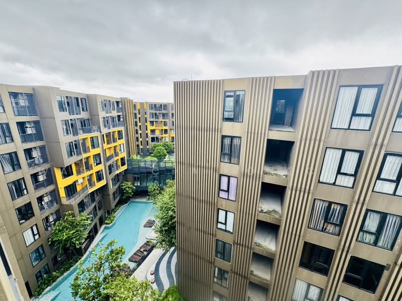 The Base Central, Phuket, Chao Fah Tawan Tok Rd, Wichit, Muang Phuket, Phuket, 1 Bedroom, 28 sqm, Condo For Rent, by Wasan Chaimongcol, 500282083 - DDproperty.com