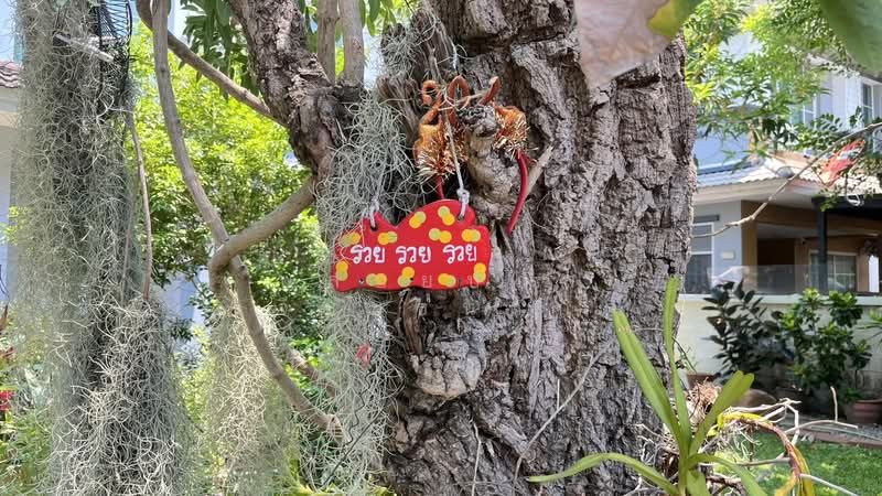 Moobaan Parichard 345 : หมู่บ้านปาริชาติ 345, ปทุมธานี, ถนน 345, บางคูวัด, เมืองปทุมธานี, ปทุมธานี, 180 ตร.ม., บ้านเดี่ยว ขาย, โดย พลอยปภัส เจียมธนศักดิ์, 500282086 - DDproperty.com
