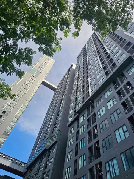 Modiz Sukhumvit 50 : โมดิซ สุขุมวิท 50, กรุงเทพ, ซอยสุขุมวิท 50, พระโขนง, คลองเตย, กรุงเทพ, 37 ตร.ม., คอนโด ขาย, โดย ณัฏฐพัชร ชโยทิตกุลเกียรติ, 500282122 - DDproperty.com