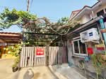 พฤกษา31 นครปฐม, นครปฐม