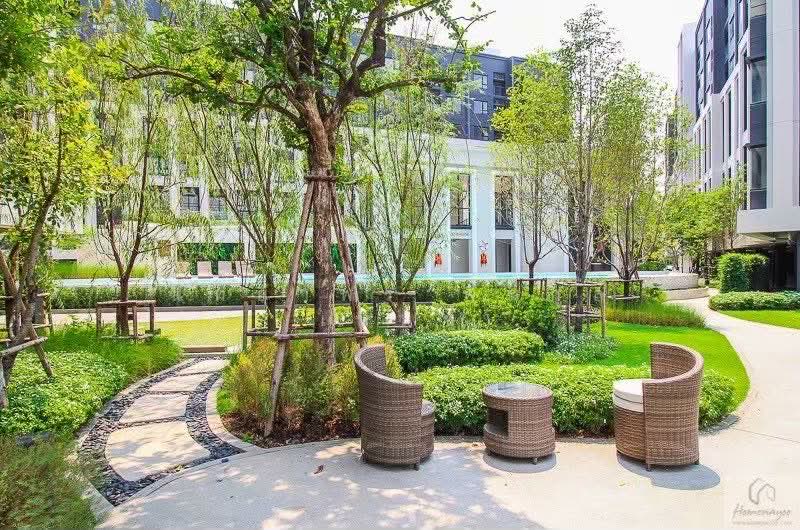 Aspire Onnut Station, Bangkok, Sukhumvit Road, Phra Kanong, Khlong Toei, Bangkok, 1 Bedroom, 36 sqm, Condo For Rent, by Nattayaporn Peumkul (Benz), 500282337 - DDproperty.com