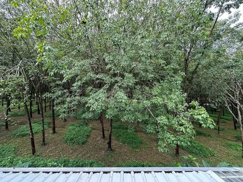 Land and Houses Park : แลนด์ แอนด์ เฮ้าส์ ปาร์ค, ภูเก็ต, ฉลอง, เมืองภูเก็ต, ภูเก็ต, 242 ตร.ม., บ้านเดี่ยว ขาย, โดย Prime Global Asset ( Bom ), 500282451 - DDproperty.com