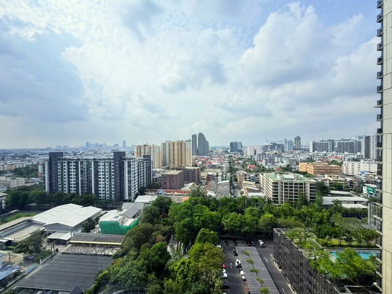 Whizdom Connect Sukhumvit : วิสซ์ดอม คอนเนค สุขุมวิท, กรุงเทพ, 1 ซอยปิยบุตร์ 1 ถนนสุขุมวิท, บางนา, บางนา, กรุงเทพ, 30 ตร.ม., คอนโด ให้เช่า, โดย suparat, 500282588 - DDproperty.com