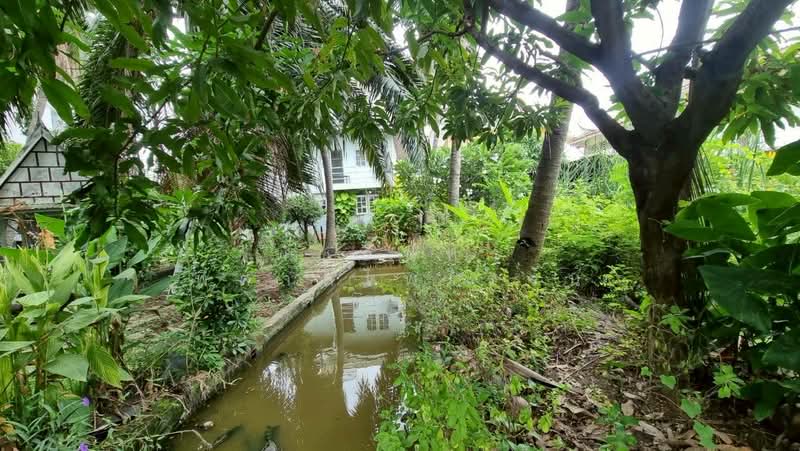 Land area 64 square wah, beside CPF, Soi Yenchit 4, Chan 24 Road, Sathorn – Bangrak, Bangkok, Thung Wat Don, Sathon, Bangkok, , 256 sqm, Land For Sale, by พัชรินทร์ พิศาลไพโรจน์, 500282600 - DDproperty.com