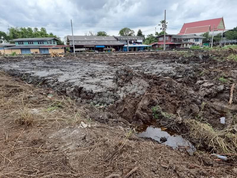 ขายที่ดินเปล่า 2 ไร่ 65 ตร.ว. ซ.บางนาการ์เด้น 7 อ.บางเสาธง จ.สมุทรปราการ ทำเลทอง ใกล้ ABAC บางนา, สมุทรปราการ, บางเสาธง, บางเสาธง, สมุทรปราการ, 3,460 ตร.ม., ที่ดิน ขาย, โดย สนใจติดต่อ, 500282636 - DDproperty.com