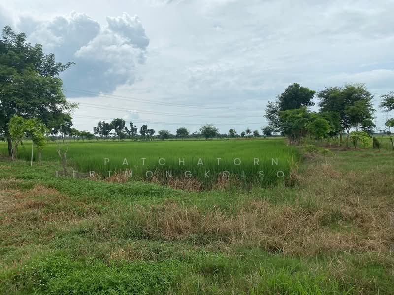 Land for sale in Nong Chok, Mit Maitri 6 Road. Beautiful plot, paved road frontage. Bridge across th, Bangkok, Nong Chok, Nong Chok, Bangkok, , 6,704 sqm, Land For Sale, by Patchatorn Lertmongkolsomchok, 500282812 - DDproperty.com