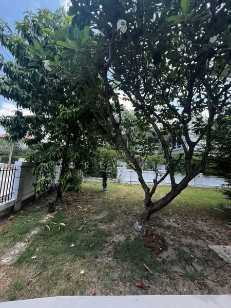 For Rent - The City Pinklao - Borom, Bangkok