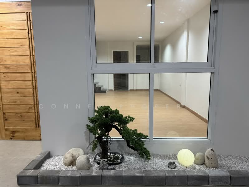 Newly Renovated 2-Storey Townhouse-Prachachuen Soi 6, Bangkok, ประชาชื่น, Bang Sue, Bang Sue, Bangkok, 3 Bedrooms, 110 sqm, Townhouse For Sale, by Connex Property, 500283035 - DDproperty.com