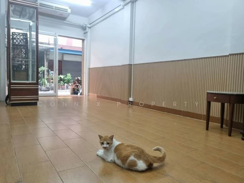 ตึก 4 ชั้นใกล้บีทีเอสบางจาก, กรุงเทพ, -, บางจาก, พระโขนง, กรุงเทพ, 120 ตร.ม., ตึกแถว-อาคารพาณิชย์ ขาย, โดย Connex Property, 500283071 - DDproperty.com