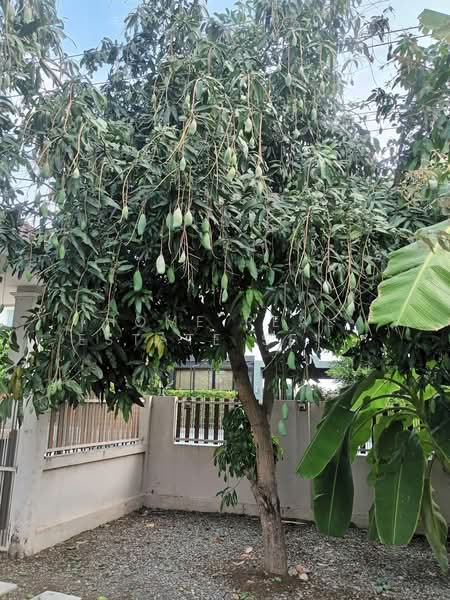 Ratirat 3 Ladpladuk - Khlong Ta Chom, Nonthaburi, Thawi Watthana, Sai Noi, Nonthaburi, 3 Bedrooms, 160 sqm, Single Detached House For Sale, by HOME Real Estate Service, 500283240 - DDproperty.com