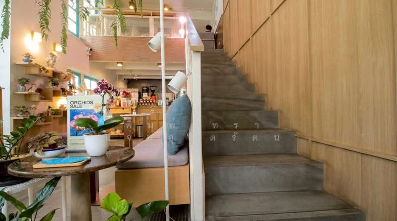 ตึกแถว สีลม ซอย3, Bangkok, Silom, Bang Rak, Bangkok, , 266 sqm, Shophouse For Rent, by พิมพ์ภัทรา แจ่มอุลิตรัตน, 500283278 - DDproperty.com