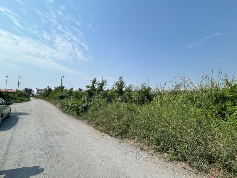 ขาย - ที่ดินธัญบุรี ปทุมธานี, ปทุมธานี