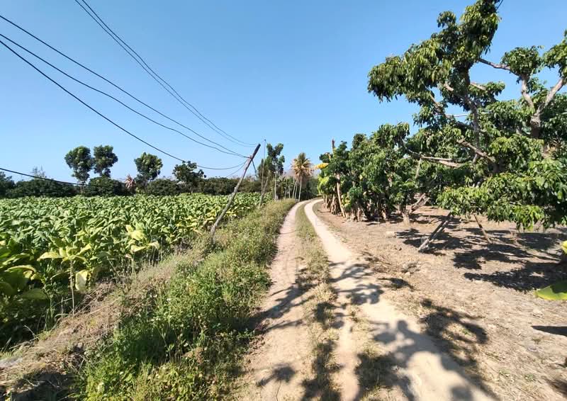 ที่ดินสันกำแพง เชียงใหม่, Chiang Mai, Buak Sang, San Kamphaeng, Chiang Mai, , 3,580 sqm, Land For Sale, by The Best Property ปัต, 500283299 - DDproperty.com
