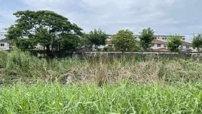 ขาย - ขาย ที่ดิน 385 ตรว. รังสิต ซอยลำลูกกา11 จ.ปทุมธานี, ปทุมธานี