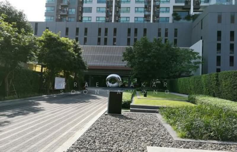 The Stage Taopoon Interchange : เดอะ สเตจ เตาปูน อินเตอร์เชนจ์, กรุงเทพ, 318 ถนนประชาราษฎร์ สาย 2, บางซื่อ, บางซื่อ, กรุงเทพ, 33 ตร.ม., คอนโด ให้เช่า, โดย Praewpakar Soontawong, 500283522 - DDproperty.com