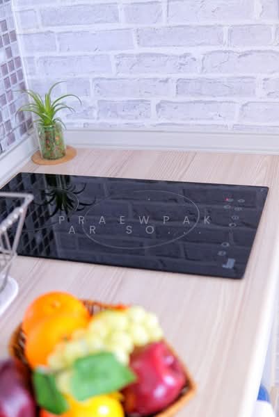 Pause Sukhumvit 107, Bangkok, Sukhumvit 107, Bang Na, Bang Na, Bangkok, 2 Bedrooms, 32 sqm, Condo For Rent, by Praewpakar Soontawong, 500283546 - DDproperty.com