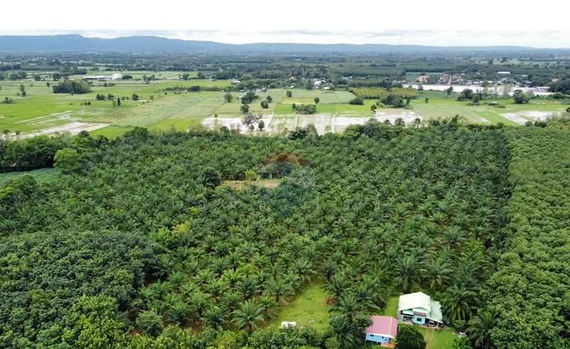 For Sale - 920211013-32, Udon Thani