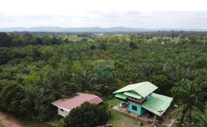 For Sale - 920211013-32, Udon Thani